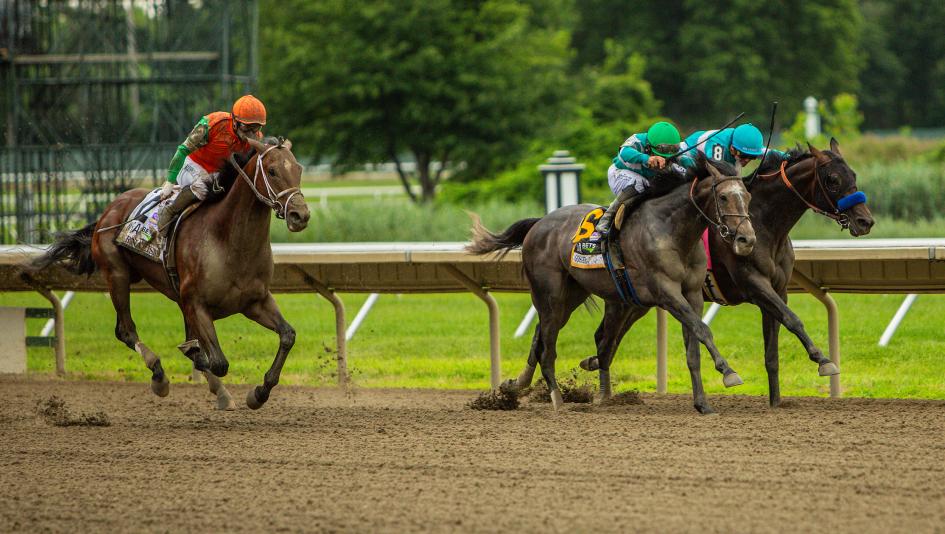 ABR’s Trifecta Picks for the 2025 Pennsylvania Derby